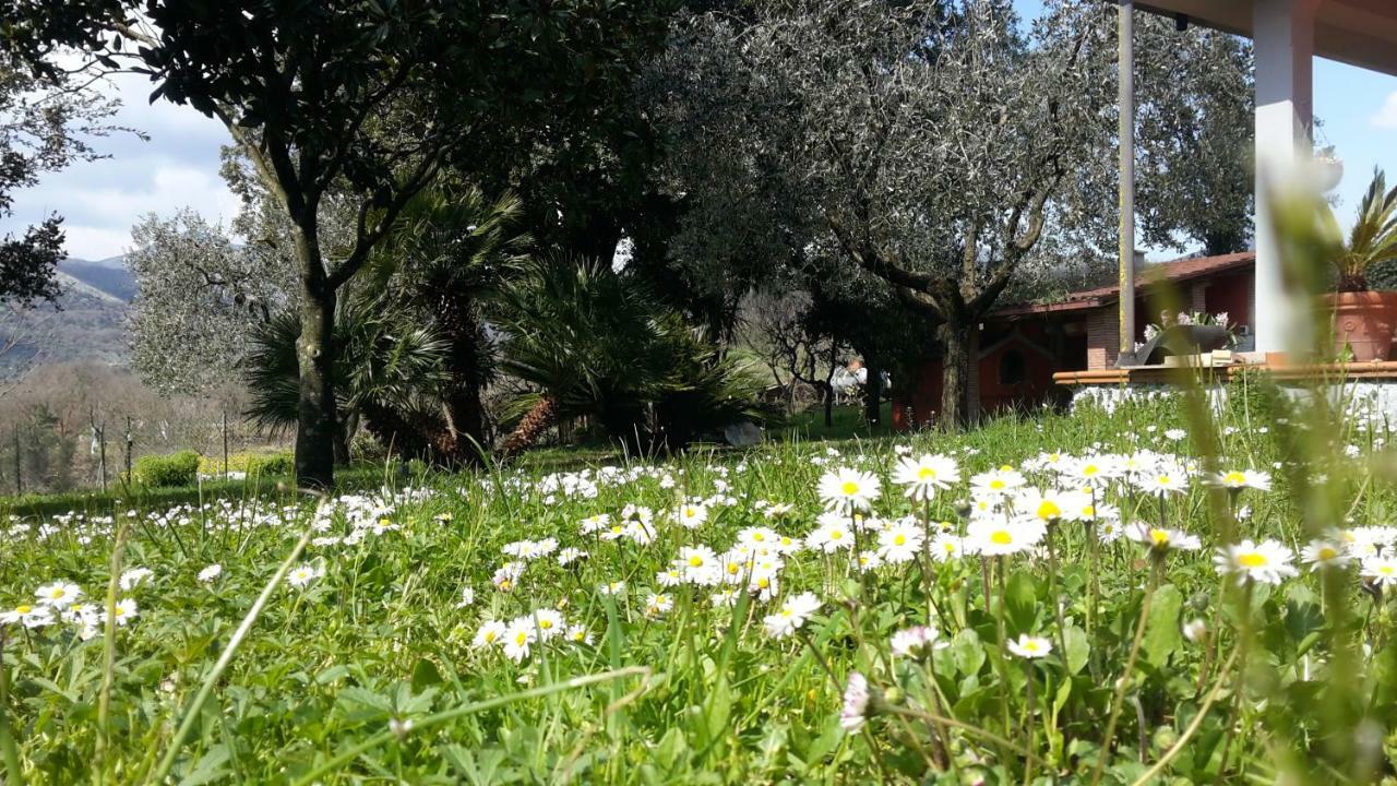 B&B La Mita Giuliano di Roma Exteriér fotografie